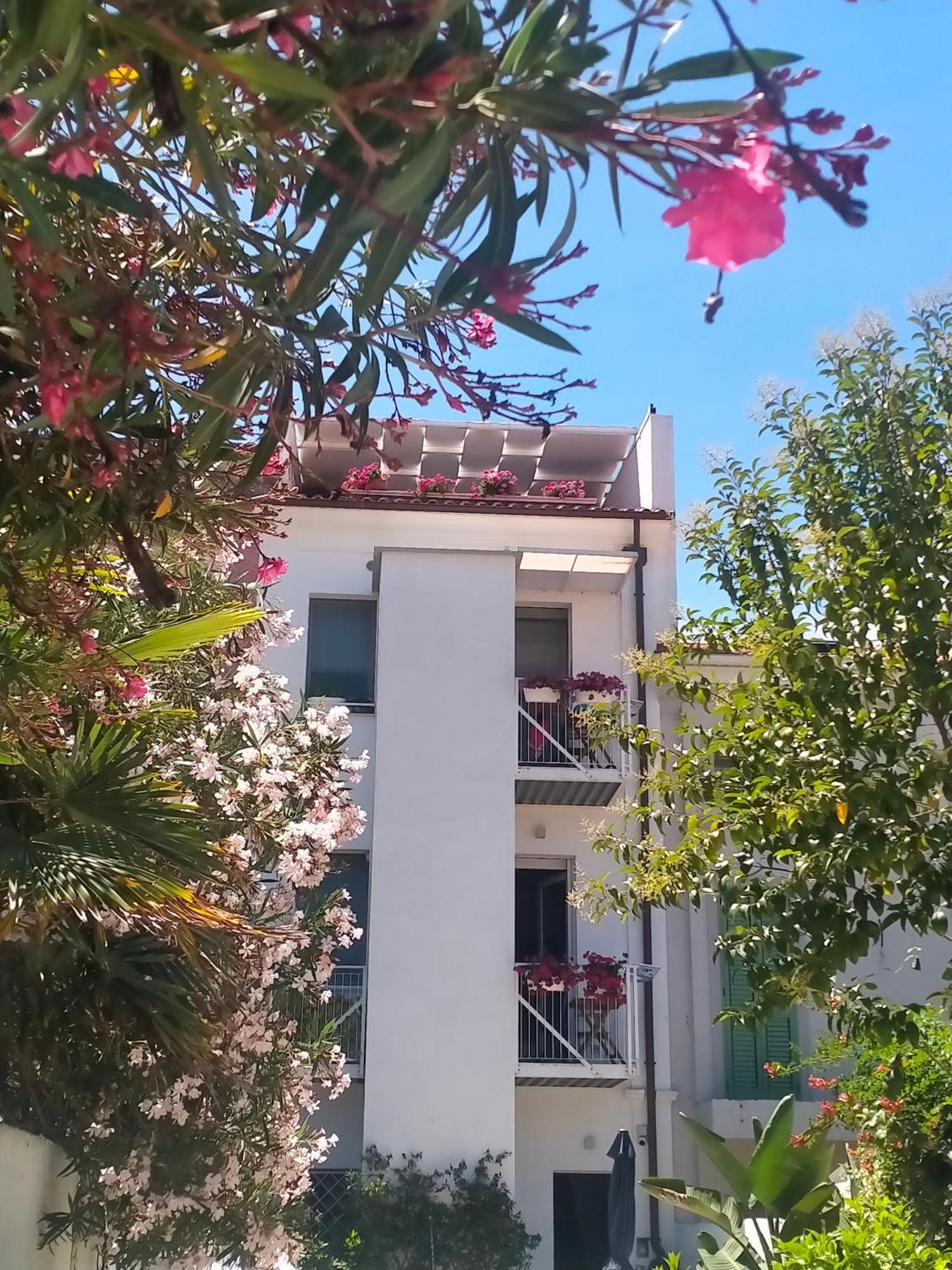 B&B Previsto Sole Чивитанова-Марке Экстерьер фото